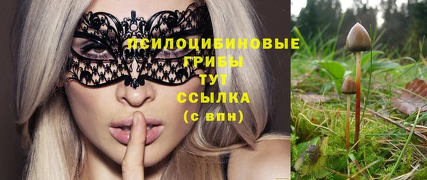 кокаин премиум Богданович
