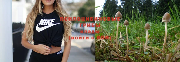 каннабис Богородск