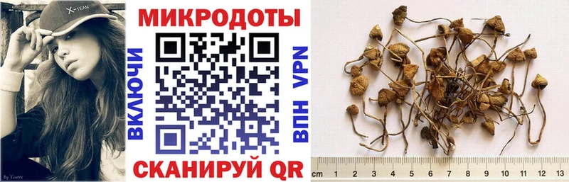 купить наркоту  Шарыпово  Галлюциногенные грибы GOLDEN TEACHER 